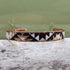 Cork Rose Gold Skinny Cuff Bracelet